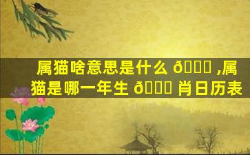 属猫啥意思是什么 🐈 ,属猫是哪一年生 🐛 肖日历表
